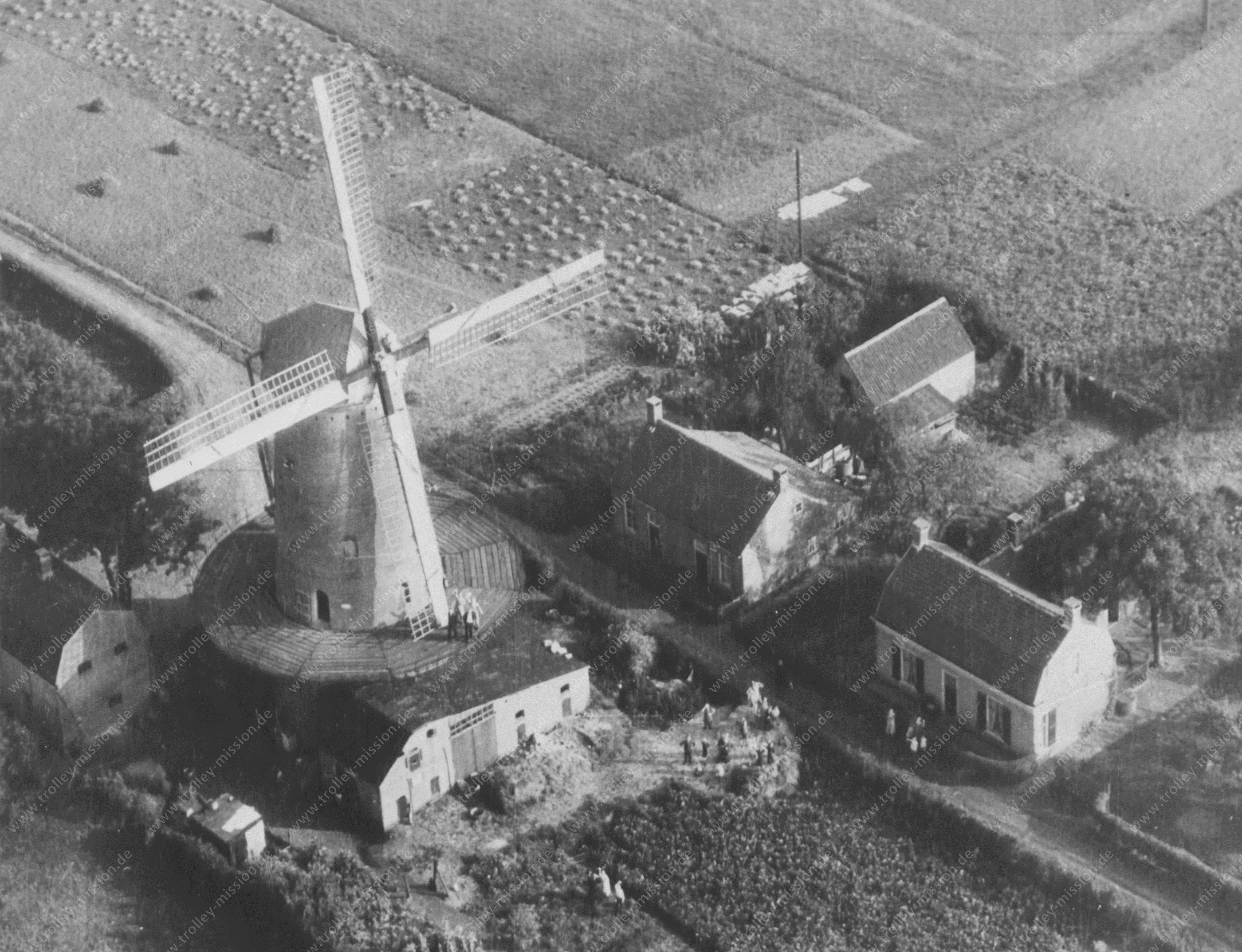 Königin Wilhelmina Windmühle in Dongen (Niederlande)